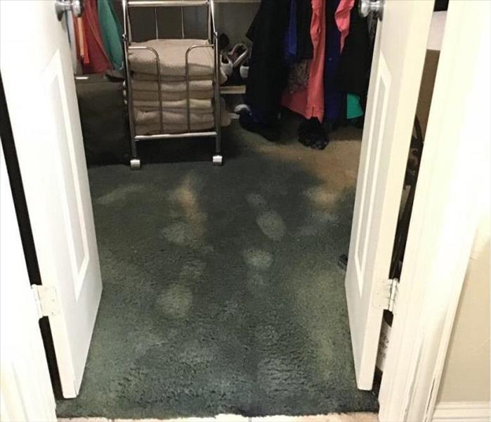 flooded carpeting in a closet