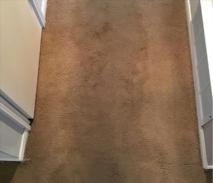 dirty carpeting