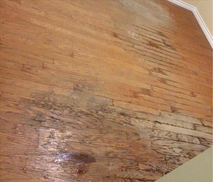 water damage on wood flooring