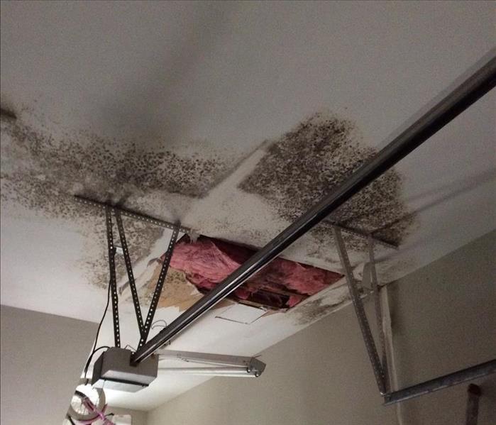 water and mold damage on a garage ceiling