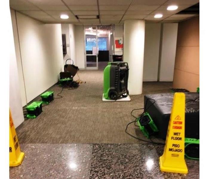 green and black drying equipment on the wet brown carpet