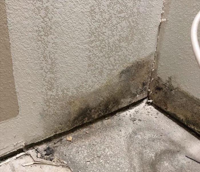 mold growth on drywall behind a vanity
