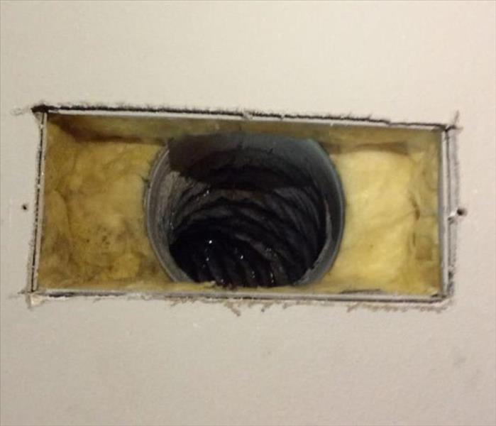 mold remediated air duct